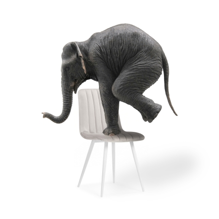 Стул на металлокаркасе Дани молочный велюр velutto 67, белый