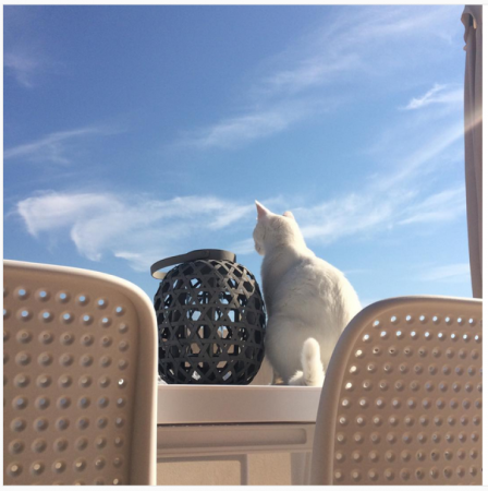 Кресло пластиковое Bora белое