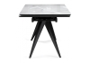 Стеклянный стол Дарвин 140(200)х80 белый мрамор, черный