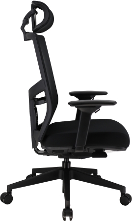 Эргономичное кресло Fuji сетка черный