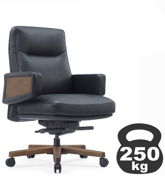 Кресло Rafael-M B2119 черный