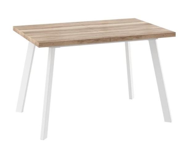 Стол раздвижной БОРГ-120(160)х80 дуб каньон, белый