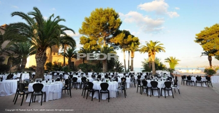 Стул прозрачный PEDRALI Queen