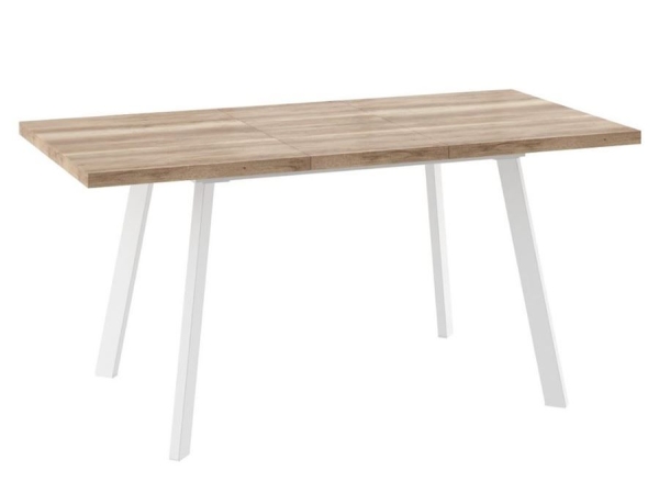 Стол раздвижной БОРГ-120(160)х80 дуб каньон, белый